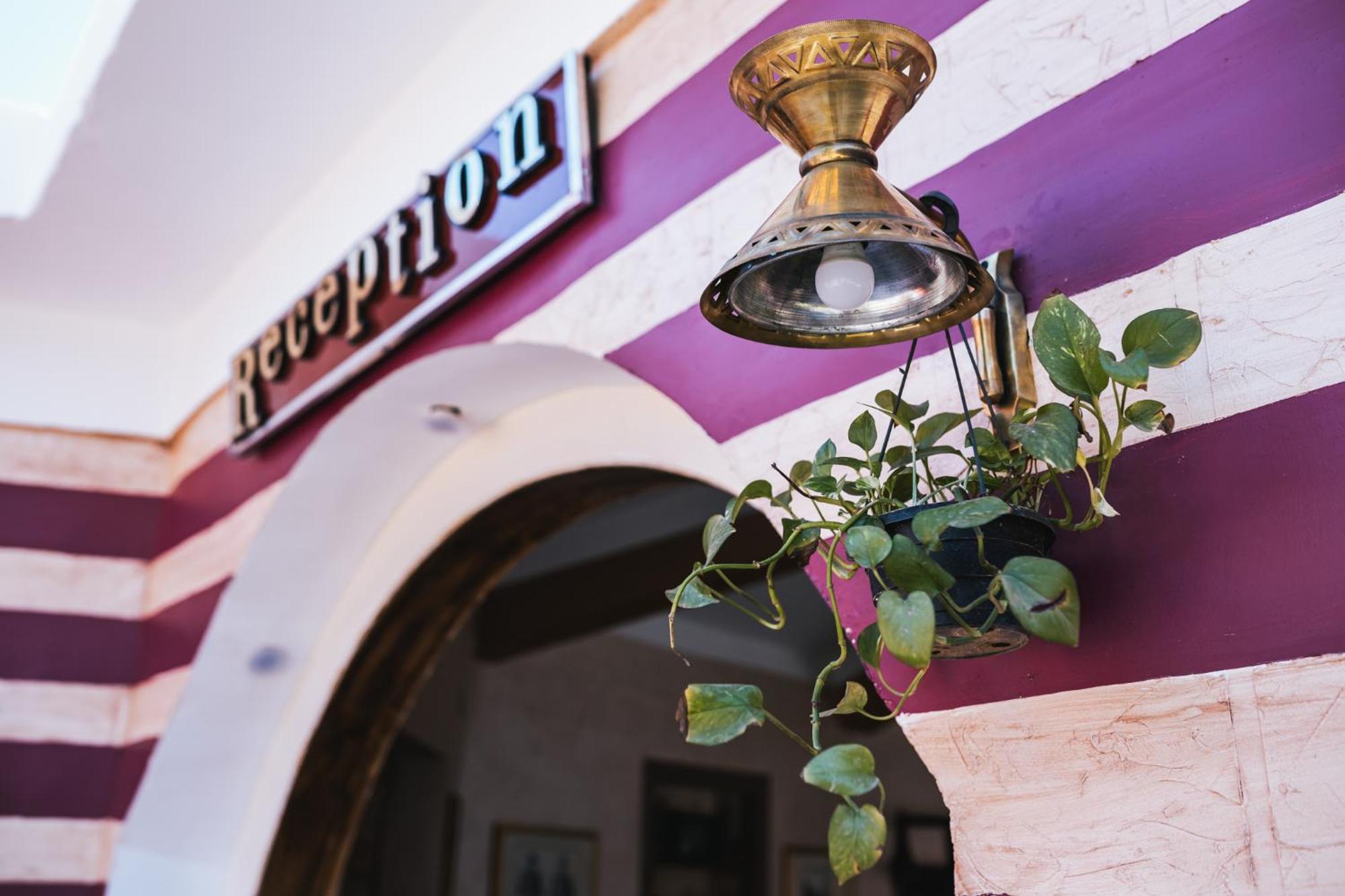 אבו סימבל Tuya Hotel מראה חיצוני תמונה